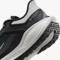 Nike Pegasus 41 GORE-TEX чоловічі Waterproof Road Running Кросівки колір чорний