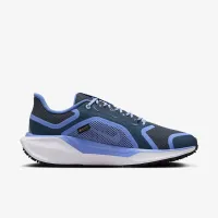 Nike Pegasus 41 GORE-TEX женская Waterproof Road Running Кроссовки синий