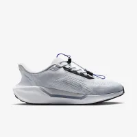 Nike Pegasus EasyOn чоловічі Road Running Кросівки колір сірий