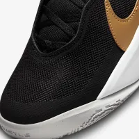 Кросівки Nike Team Hustle D 10                