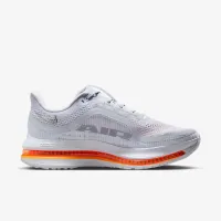 Nike Pegasus Premium жіноча Road Running Кросівки колір сірий