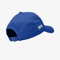Hampton Nike College Adjustable Cap синий