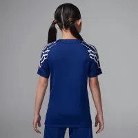 Nike Paris Saint-Germain 2024/25 Stadium Fourth Big дитячі Jordan Dri-FIT Soccer Replica Jersey блакитний