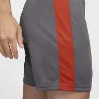 Nike Dri-FIT Academy чоловічі Dri-FIT Soccer шорти колір сірий