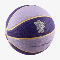 Nike LeBron All-Court 8P баскетбольные цвет фиолетовый