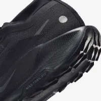 Nike Pegasus Trail 5 GORE-TEX чоловічі Waterproof Trail Running Кросівки колір чорний