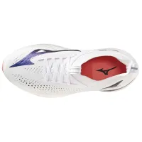 Кроссовки для бега MIZUNO NEO VISTA 2 (J1GD253421)