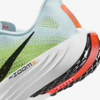 Nike Pegasus Plus мужские Road Running Кроссовки синий