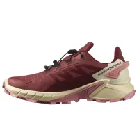 Кросівки для бігу w terenie SALOMON SUPERCROSS 4 GTX Gore-TEX (473168)