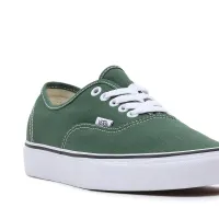 Кроссовки Vans Color Theory Authentic VN0A5KS96QU1 - Зеленые