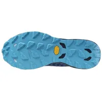 Кроссовки для бега w terenie Mizuno WAVE DAICHI 8 GTX (J1GJ245651)