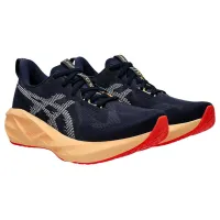 Кроссовки для бега ASICS NOVABLAST 5 (1011B974 404)