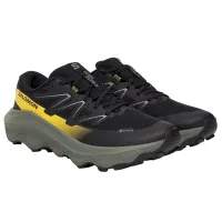 Кроссовки для бега Мужские Salomon ULTRA FLOW 2 GTX Gore-Tex (478832)