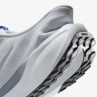 Nike Pegasus EasyOn чоловічі Road Running Кросівки колір сірий