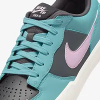 Nike SB Force 58 Premium Skate Кросівки блакитний