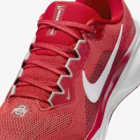 Ohio State Pegasus 41 мужские Nike College Road Running Кроссовки цвет красный