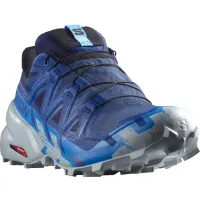 Кроссовки для бега w terenie SALOMON SPEEDCROSS 6 GTX Gore-tex (473020)