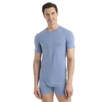 Футболка Icebreaker Anatomica SS Crewe 1030338851 - Голубая