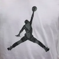 Nike Jordan Sport мужские Dri-FIT футболка цвет белый