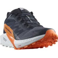 Кросівки для бігу Чоловічі Salomon SENSE RIDE 5 GTX Gore-Tex (474594)