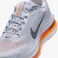 Nike Pegasus Premium жіноча Road Running Кросівки колір сірий
