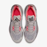 Nike Giannis Immortality 2 баскетбольные Кроссовки цвет серый