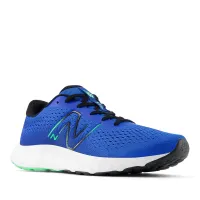 Кросівки New Balance M520RG8 - Блакитні