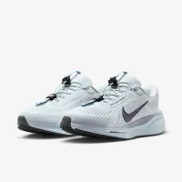 Nike Pegasus EasyOn чоловічі Road Running Кросівки колір сірий