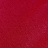 Nike Performance Cart для гольфа сумка цвет красный