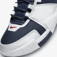 Nike Zoom LeBron 2 чоловічі Кросівки колір білий