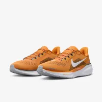 Tennessee Pegasus 41 мужские Nike College Road Running Кроссовки Orange