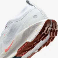 Nike Pegasus Trail 5 GORE-TEX мужские Waterproof Trail Running Кроссовки цвет серый