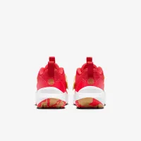 Nike Team Hustle D 12 Little детские Кроссовки цвет красный