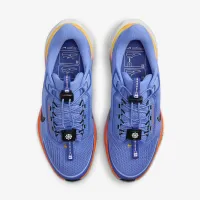 Nike Pegasus EasyOn женская Road Running Кроссовки синий