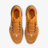 Tennessee Pegasus 41 мужские Nike College Road Running Кроссовки Orange