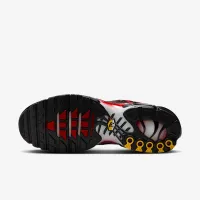 Nike Air Max Plus мужские Кроссовки цвет серый