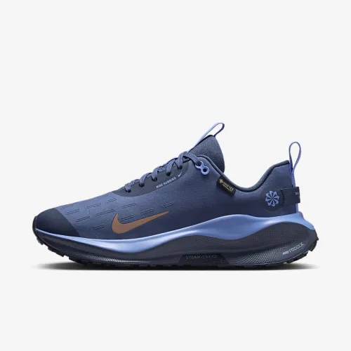 Nike InfinityRN 4 GORE-TEX женская Waterproof Road Running Кроссовки синий