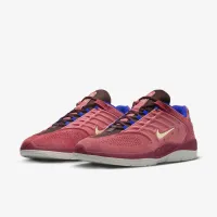 Nike SB Vertebrae Skate Кроссовки цвет красный