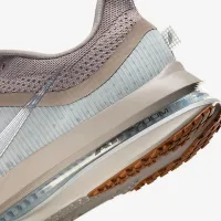 Nike Pegasus Premium чоловічі Road Running Кросівки колір сірий