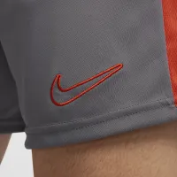 Nike Dri-FIT Academy чоловічі Dri-FIT Soccer шорти колір сірий