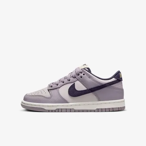 Nike Dunk Low Big детские Кроссовки цвет серый