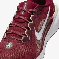 Florida State Pegasus 41 чоловічі Nike College Road Running Кросівки колір червоний