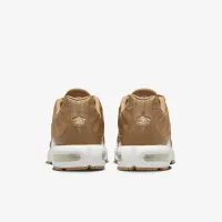 Nike Air Max Plus чоловічі Кросівки колір коричневий