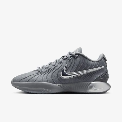 Nike LeBron XXI баскетбольные Кроссовки цвет серый