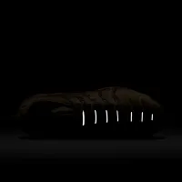 Nike Air VaporMax Plus мужские Кроссовки цвет коричневый