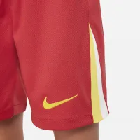 Liverpool FC 2024/25 Stadium Home Big детские Nike Dri-FIT Soccer Replica шорты цвет красный
