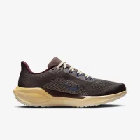 Nike Pegasus 41 Premium чоловічі Road Running Кросівки колір коричневий