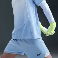 Nike Total 90 мужские Dri-FIT Soccer шорты синий