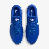 Nike Diamond Gamer MCS Baseball Кроссовки синий