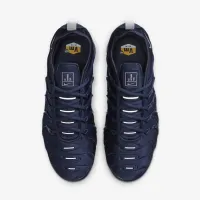 Nike Air VaporMax Plus чоловічі Кросівки блакитний